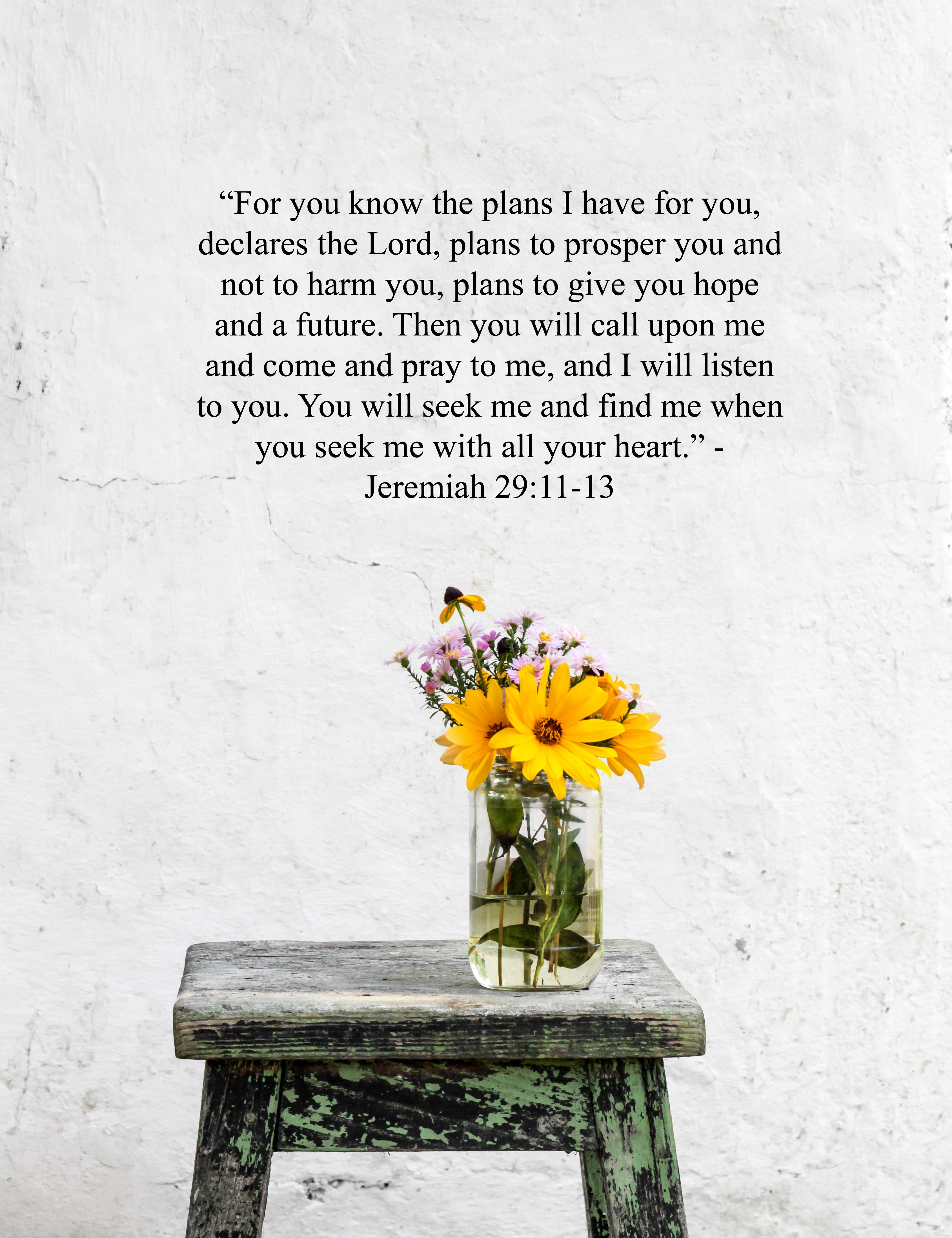 The Daniel's Fast - Kelsey's Chronicles - verse of encouragement